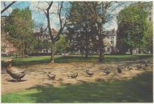 Color image of "Make Way for Ducklings" sculpture.